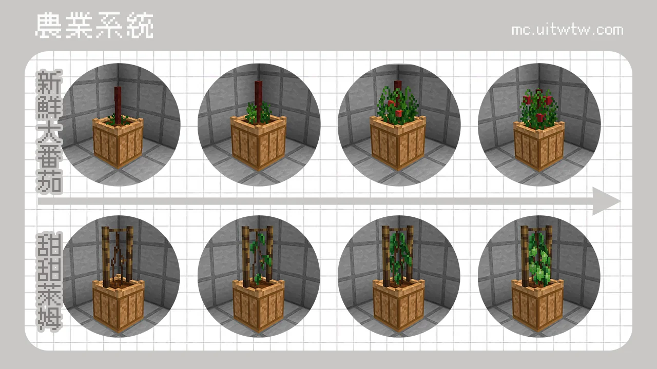 獨步天下 Minecraft 農業系統 — 新鮮大番茄與甜甜萊姆的種植階段展示